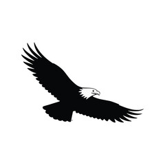 eagle flying vector illustration isolated on white background
