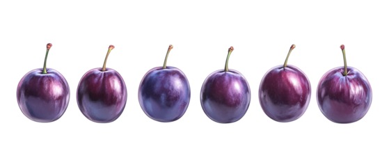 Six ripe dark purple plums with stems are arranged horizontally for use as a fruit ingredient banner presentation isolated on transparent
