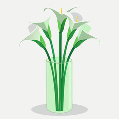 white calla lilies arranged elegantly in a clear glass vase.