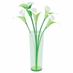 white calla lilies arranged elegantly in a clear glass vase.