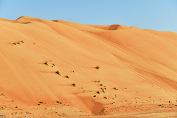 Dunes of Rub Al Khali desert. Wahiba Sands. Sultanate of Oman.