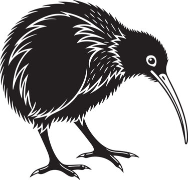 recommend clip art: Kiwi bird silhouette vector style