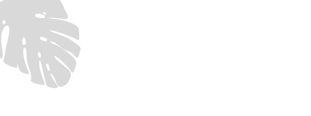 Palm tree shadow effect in the corner with coconut leaves gracefully extending across a transparent background, perfect for product design mockups.