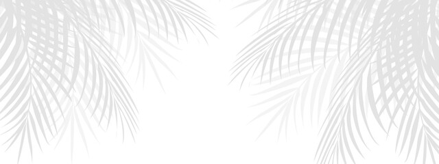 Tropical palm leaf shadow in the corner, creating a soft overlay effect. Transparent background with coconut leaves for a seasonal product presentation design. © ASAD