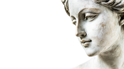 Exquisite Antique Bust of Young Greek Woman on White Background