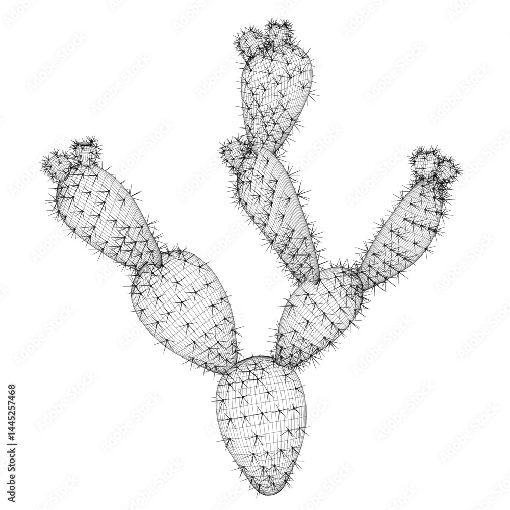 Poster a close up of a cactus with a black and white background. the cactus is spiky and has a unique shape