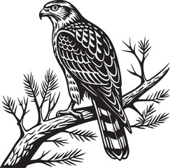 Obraz premium Northern Goshawk bird silhouette vector Illustration