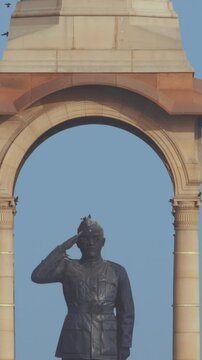 Delhi, India. Birds flying around of Statue of Subhas Chandra Bose. Netaji's Statue, is a monolithic statue made of black granite, dedicated to Netaji Subhas Chandra Bose, Indian freedom fighter and
