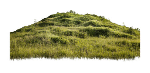 Obraz premium Lush green hill with rolling grasses in natural landscape