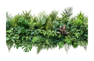 Lush Green Wall Diverse Tropical