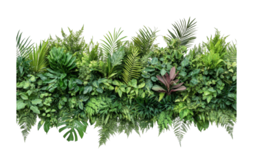 Lush green wall of diverse tropical ferns and foliage