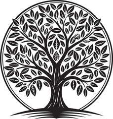 olive tree vector illustration printable png