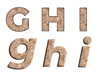 zebra print G, H, I word alphabet letter text english font  