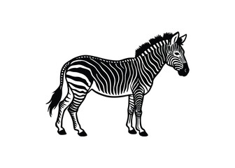 Fototapeta premium Silhouette of quagga isolated on a white background