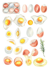 Watercolor set of eggs