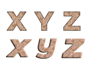 zebra print X, Y, Z  word alphabet letter text english font  