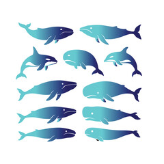 Blue Whale Vector Illustration – Ocean Animal Graphic Design
