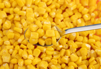 Sweet corn kernels. Sweet yellow canned corn. Fresh corn kernels. Slowly rotating in a circle	
