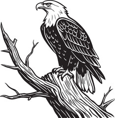 Obraz premium Philippine Eagle bird silhouette vector illustration
