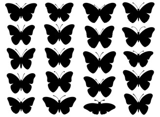 Butterfly silhouette collection. Butterfly silhouette on a white background.