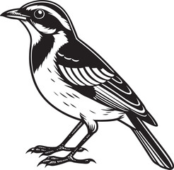 Puerto Rican Spindalis bird silhouette