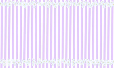 chamomile flower ＆ purple striped background★カモミールの罫線フレームとストライプの壁紙背景