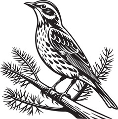Fototapeta premium Redwing bird silhouette vector illustration