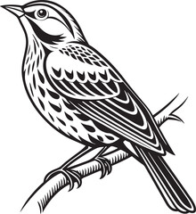 Obraz premium Redwing bird silhouette vector illustration