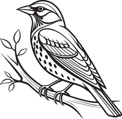 Obraz premium Redwing bird silhouette vector illustration