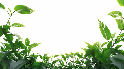 Fototapeta premium Lush Green Foliage 3D Render