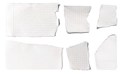 Set of notebook paper torn pieces