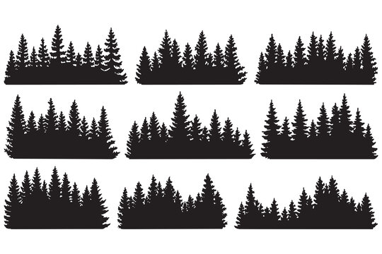 set of forest trees