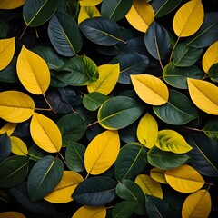 Golden and Emerald Leaves Background