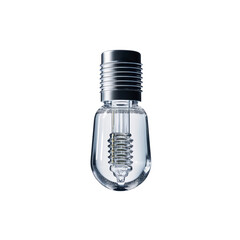 Transparent Edison Light Bulb with Visible Internal Components