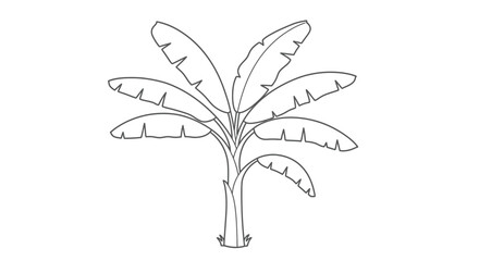Detailed Banana Tree Coloring Page Featuring Broad Leaves for Creative Art Exploration