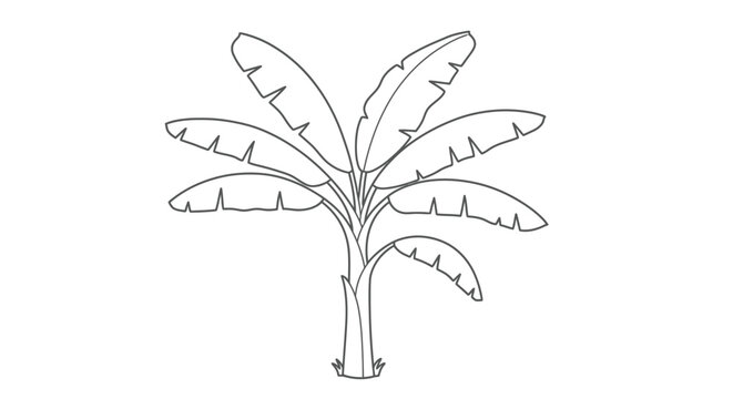 Detailed Banana Tree Coloring Page Featuring Broad Leaves for Creative Art Exploration