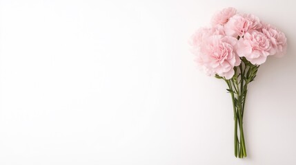 Obraz premium Pink Carnations Small Bouquet Minimalist Style High-resolution Soft Lighting Horizontal Close-up Shot Delicate Petals Simple Arrangement White Background Soft Pastel Hues Wedding Invitations