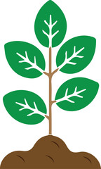 vector plant, plant illustration, botanical vector, plant icon, plant silhouette