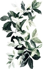 A collection of vibrant green leaves, showcasing their unique shapes and textures, ideal for nature-inspired designs.