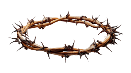 Crown of thorns: a symbol of suffering, sacrifice, and atonement, with sharp spikes.