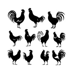Rooster Clipart on White Background