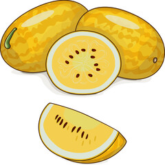 Whole and chopped Gold in Gold Watermelon. Citrullus lanatus. Fruits and vegetables. Clip art. Isolated vector illustration.