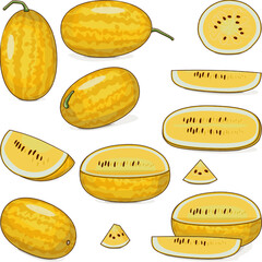 Set of Gold in Gold Watermelon. Citrullus lanatus. Fruits and vegetables. Clipart. Isolated vector illustration.