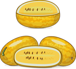 Group of Gold in Gold Watermelon. Citrullus lanatus. Fruits and vegetables. Clipart. Isolated vector illustration.