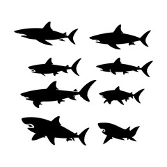 Fototapeta premium Shark Outline Set on White Background