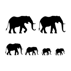 Savannah Elephant Silhouette Design