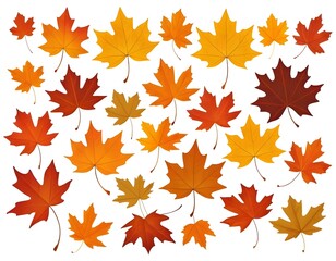 Fototapeta premium Falling Autumn Maple Leaves