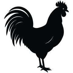 A black silhouette of a rooster standing in profile, showcasing its distinctive comb, tail feathers, and overall shape 