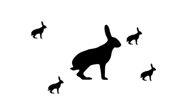 Zoom in and out animation the hare symbol. Large black symbol in the center and four small symbols around. Seamless looped 4k animation on white background