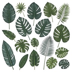 Collection of Tropical Leaves